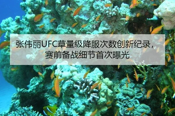 张伟丽UFC草量级降服次数创新纪录，赛前备战细节首次曝光