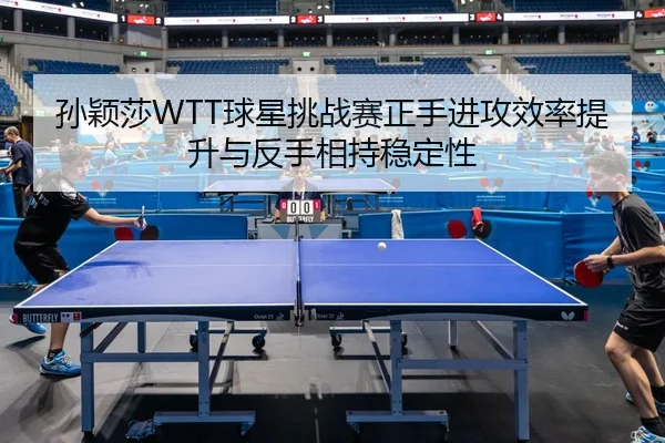 sun-ying-sha-qiu-xing-tiao-zhan-sai-zheng-shou-jin-gong-xiao-lv-ti-sheng-yu-fan-shou-xiang-chi-wen-ding-xing-2-140.jpg