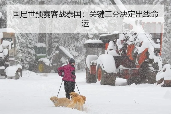 国足世预赛客战泰国：关键三分决定出线命运