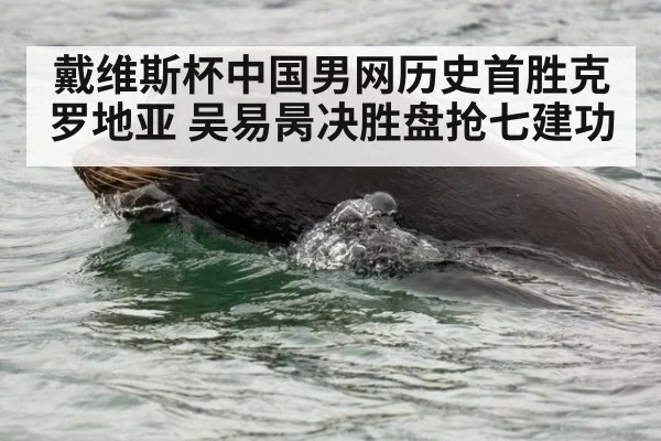 戴维斯杯中国男网历史首胜克罗地亚 吴易昺决胜盘抢七建功