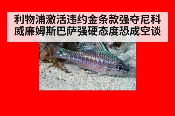 利物浦激活违约金条款强夺尼科威廉姆斯巴萨强硬态度恐成空谈
