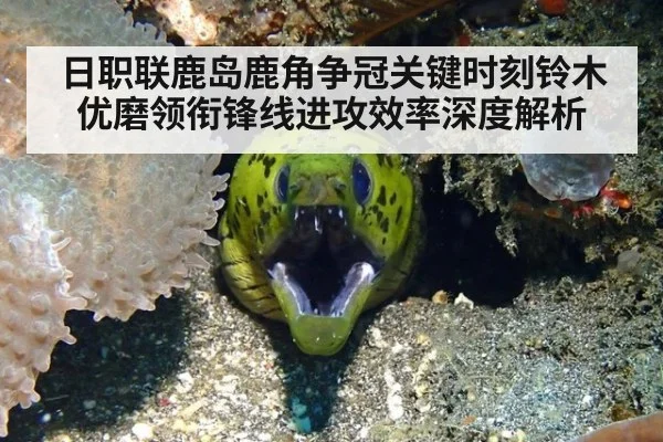 日职联鹿岛鹿角争冠关键时刻铃木优磨领衔锋线进攻效率深度解析