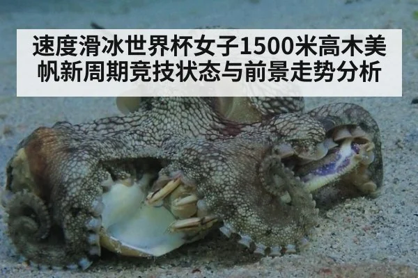 速度滑冰世界杯女子1500米高木美帆新周期竞技状态与前景走势分析